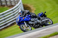 PJ-Motorsport-2019;anglesey;brands-hatch;cadwell-park;croft;donington-park;enduro-digital-images;event-digital-images;eventdigitalimages;mallory;no-limits;oulton-park;peter-wileman-photography;racing-digital-images;silverstone;snetterton;trackday-digital-images;trackday-photos;vmcc-banbury-run;welsh-2-day-enduro